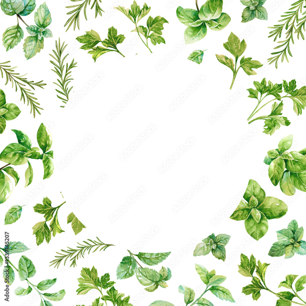 Culinary herbs round frame template. Green fresh parsley, mint, basil, rosemary, watercolor branches and leaves isolated on white background for garden, eco, houseplant designs, cards, invitations Culinary herbs round frame template. Green fresh parsley, mint, basil, rosemary, watercolor branches and leaves isolated on white background for garden, eco, houseplant designs, cards, invitations