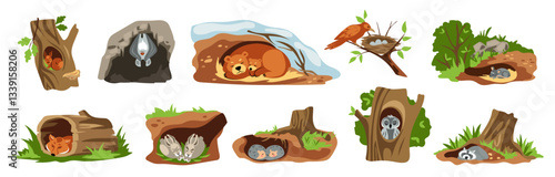 Animal on tree. Forest bird nest. Hollow as owl house. Nature creatures sleep in burrows. Woodland cave. Foxes or bears dream in dens. Squirrel in trunk hole. Vector mammal homes set