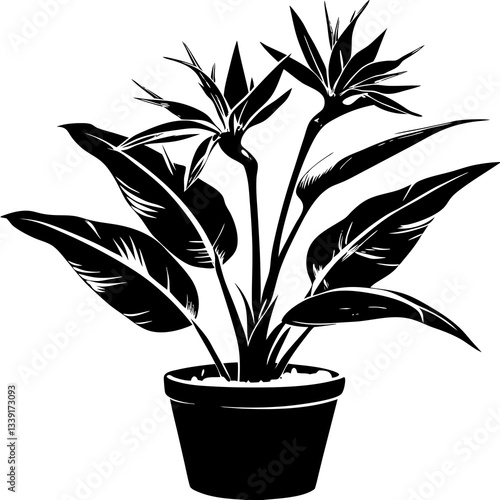a decorative bird of paradise plant in a pot with beautiful flowers and leaves vector illustration