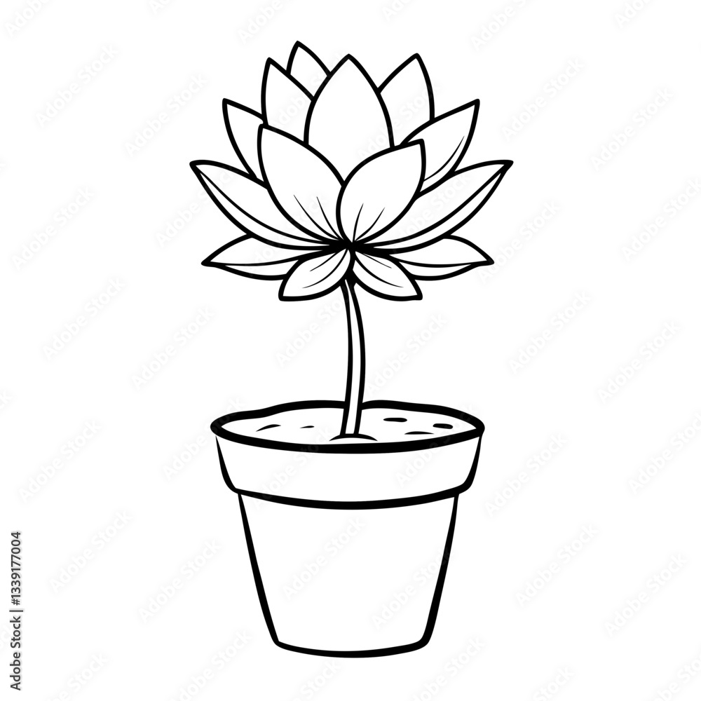 a line drawing of a single potted lotus flower, showing the delicate petals in detail vector illustration a line drawing of a single potted lotus flower, showing the delicate petals in detail vector illustration