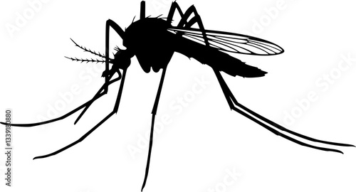 mosquito silhouette, black and white illustration, insect vector graphic, minimalist design, detailed wings, long legs, thin antennae, side view, simple shape, pest icon, entomology illustration 