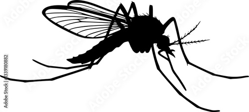 mosquito silhouette, black and white illustration, insect vector graphic, minimalist design, detailed wings, long legs, thin antennae, side view, simple shape, pest icon, entomology illustration 