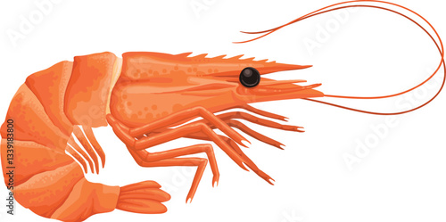 Cartoon shrimp. Raw or boiled seafood, tiger shrimps meat, king prawns without shell flat vector illustration icon. Ocean shrimps collection
