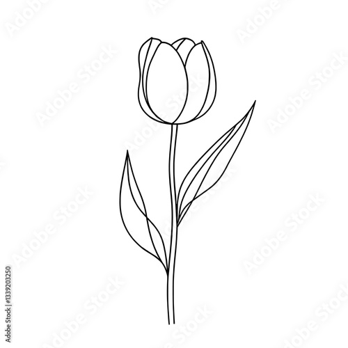 The illustration features a continuous line drawing of a tulip flower silhouette in a simple and modern minimalist style