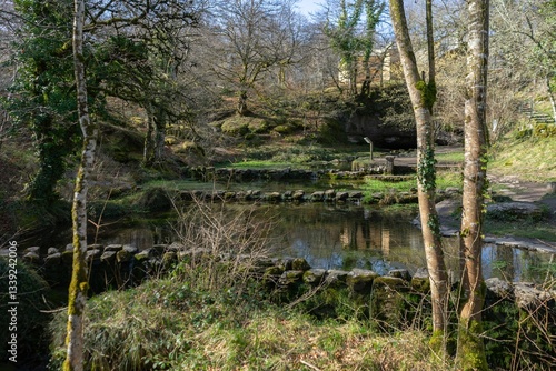 Natural monument monte Santiago, natural landscape of green vegetation, beech trees and rivers.