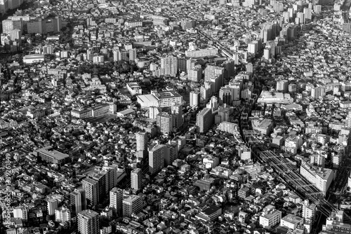 Photography Black and white cityscape of Tokyo, highlighting the intricate arrangement of st