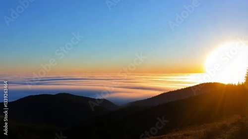 Wallpaper Mural Dreamlike Winter Forest in Frosty Twilight Torontodigital.ca