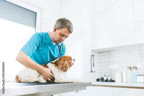 Foto Veterinarian using a stethoscope to examine, diagnose, and treat a dog, listen to his lungs, and heart