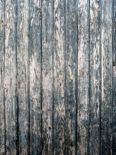 Obraz na płótnie Embrace the Natural Canvas: Elevate Your Designs with the Enchanting Beauty of Wooden Texture w salonie