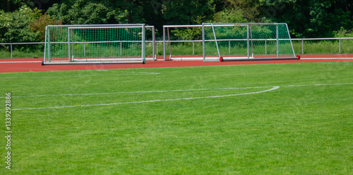 Obraz na płótnie Fußballtor auf einem Rasensportplatz w salonie