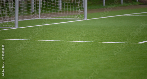 Obraz na płótnie Fußballtor auf einem Rasensportplatz w salonie