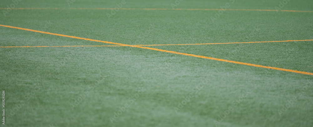 Kunstrasen Sportplatz Fußballfeld mit Feldlinien