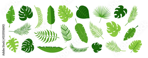 Palm leaf icon, tropical banana leaves, jungle plant, exotic foliage, cartoon summer fern, green monstera, coconut branch isolated on white background. Botanical vector illustration