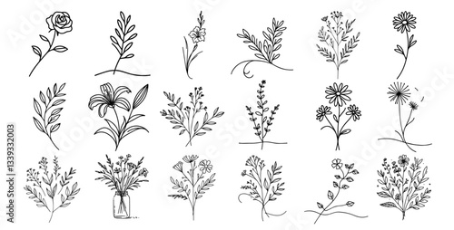 delicate hand drawn black and white flower and leaf vector set