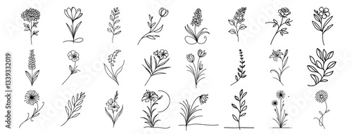 hand drawn black and white wildflower vector illustrations