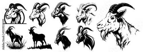goat and ram illustrations in profile, silhouette and realistic poses