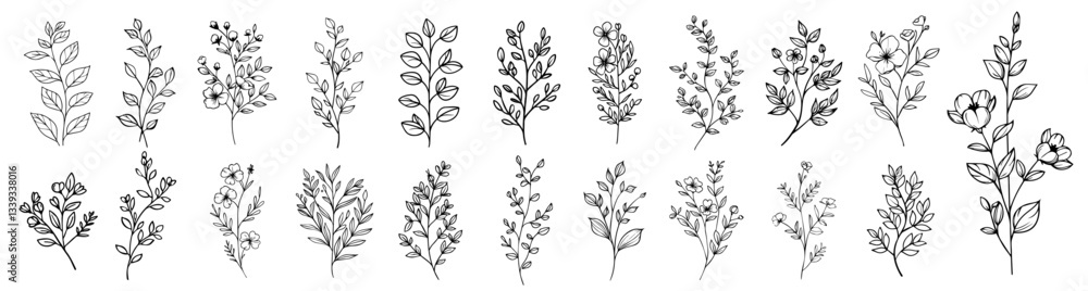 Fototapeta premium botanical twigs with small flowers and leaves in elegant line style