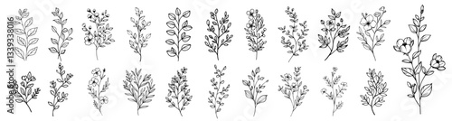 botanical twigs with small flowers and leaves in elegant line style