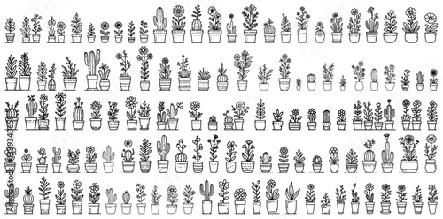 large collection of houseplants in pots with hand drawn botanical style