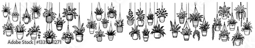 indoor hanging plants in pots collection with hand drawn foliage