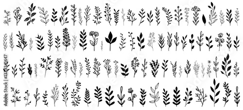 hand drawn botanical elements collection black and white floral leaf illustration set
