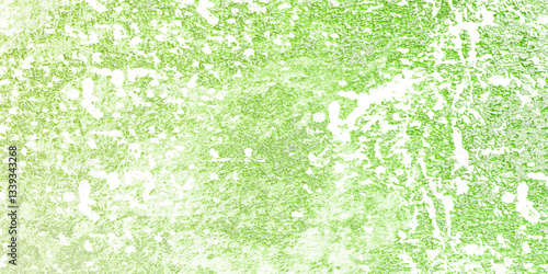 Saint Patrick's Day green moss on the stone green winter grunge watercolor background texture wallpaper texture old stone wall light effect background dark black effect graphics cover page template ol