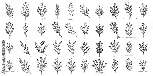 delicate botanical sprigs and leafy twigs in minimalist hand drawn style
