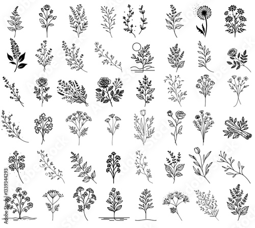 hand drawn floral sprigs and wildflowers collection in vintage style