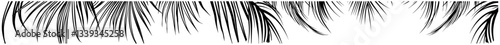 hanging palm leaves border in tropical style