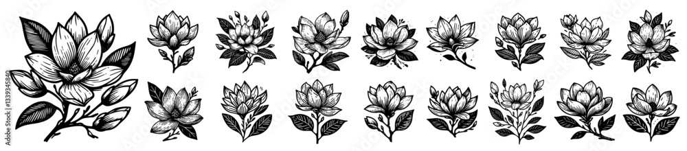 magnolia flower collection with elegant hand drawn linework magnolia flower collection with elegant hand drawn linework