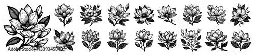 magnolia flower collection with elegant hand drawn linework