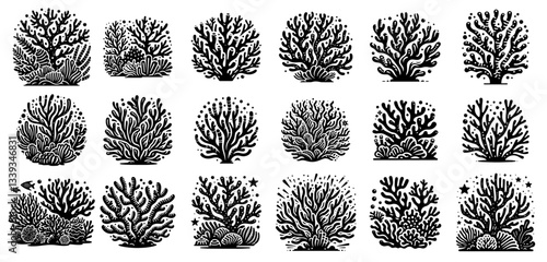 coral reef collection vector silhouette shape black outline