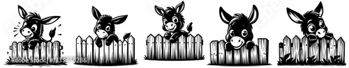cute donkey cartoon characters behind wooden fence in black and white for farm, children or rustic designs