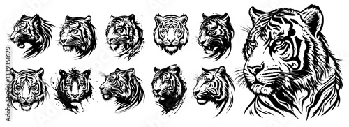 collection of tiger head portraits in realistic ink illustration