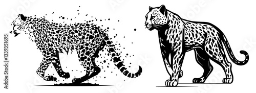 disintegrating and intact leopards illustration
