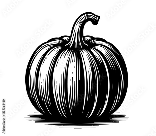 pumpkin illustration with engraved lines in monochrome style