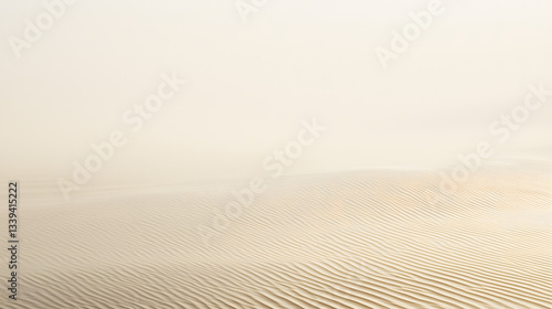 Desert Sands: Capturing the stark beauty of the desert landscape, with rippling sand dunes under a soft, hazy sky.