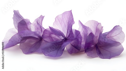 Delicate Purple Bougainvillea Petals Isolated on White