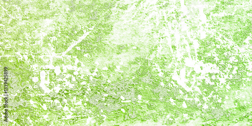 Saint Patrick's Day green moss on the stone green winter grunge watercolor background texture wallpaper texture old stone wall light effect background dark black effect graphics cover page template ol