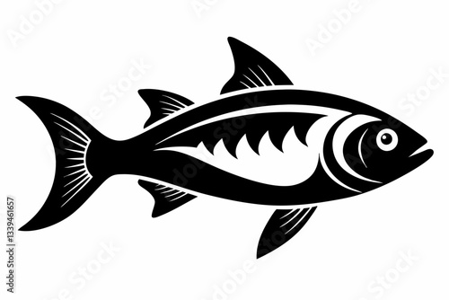 fish on a white background