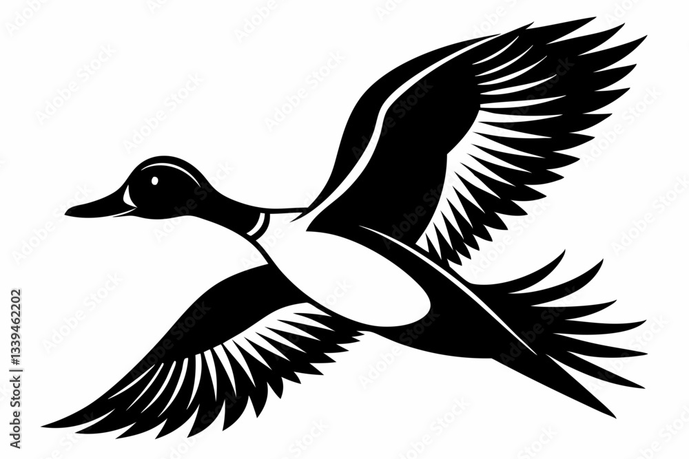 Fototapeta premium pintail duck flying line art silhouette vector illustration