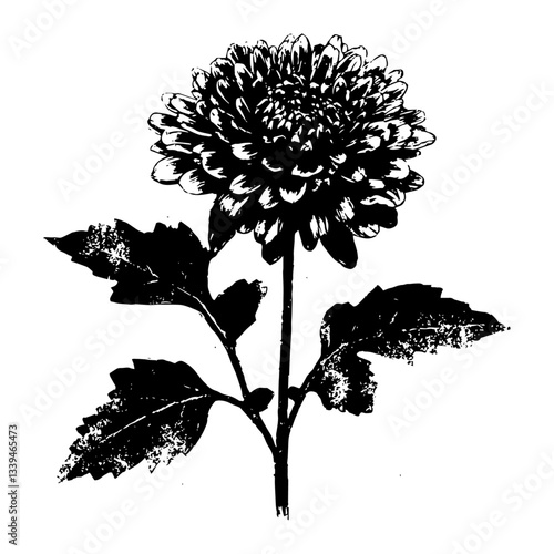 Black and white botanical engraving of a blooming dahlia with stem and leaves. Vintage floral vector