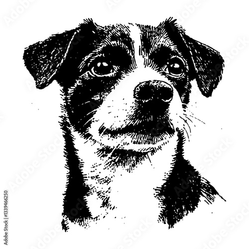 pet dog head illustration vector art