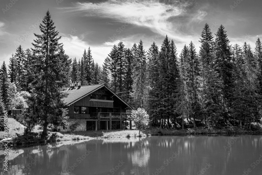 Fototapeta premium A serene lakeside cabin surrounded by pine trees near Danta di Cadore, Veneto, in June 2024. The calm water reflects the peaceful forested scene