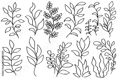 手書きの木の葉や草のボタニカル線画のイラスト　ベクター