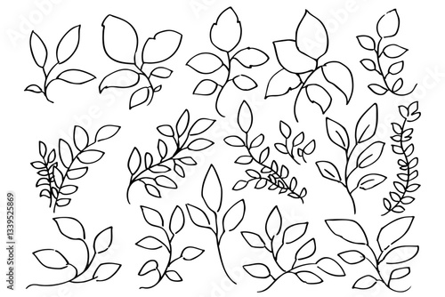 手書きの木の葉や草のボタニカル線画のイラスト　ベクター