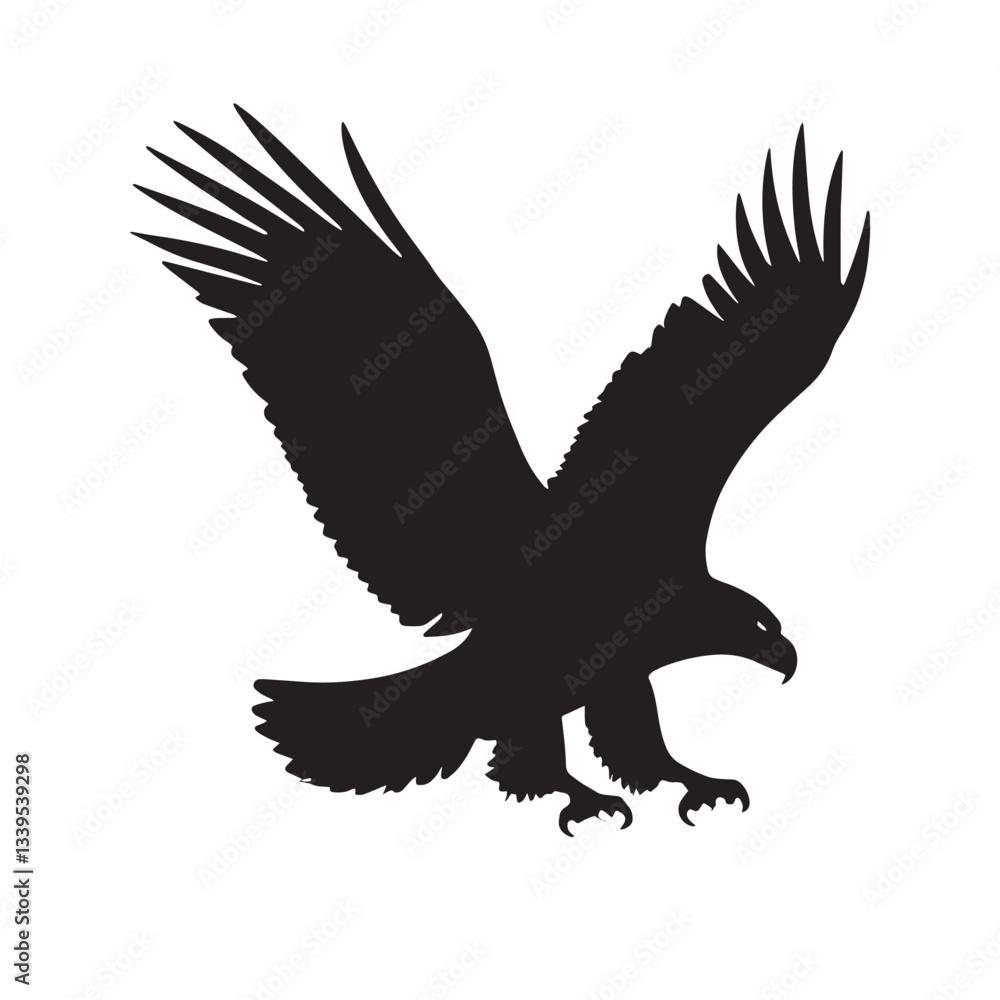 Big Eagle Open his wings Big Eagle Open his wings