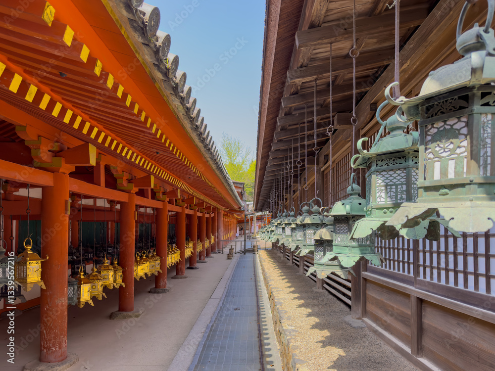 Kasuga-taisha Shrine Lanterns