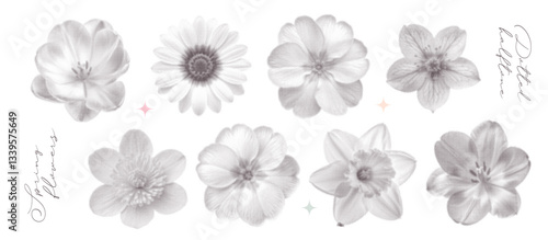 Vintage spring flowers kit. Collage flowerheads in top view with a girly aesthetic. Retro bitmap scrapbooking style with cutout element. Trendy stickers with photocopy dotted effect.
