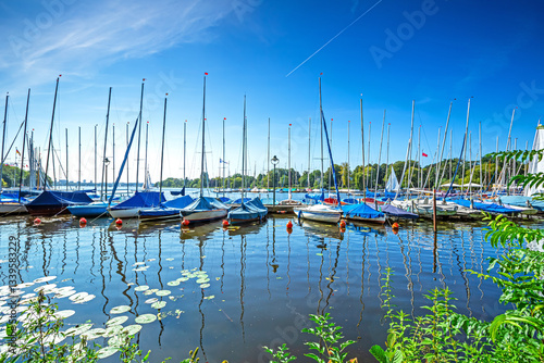 Wallpaper Mural Sailing boats on the Alster river Torontodigital.ca